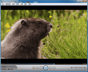 Macgo Free Media Player