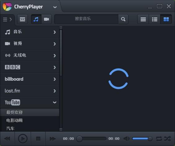 CherryPlayer(æ¨±æ¡æ­æ¾å¨)