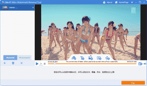 Gilisoft Video Watermark Removal Tool(è§é¢æ°´å°å é¤å·¥å·)