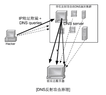 DNS放大攻击原理