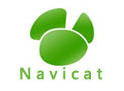 Navicat出现Got a packet bigger than 'max_allowed_packet' bytes报错解决