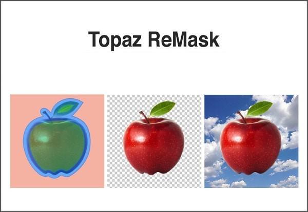 Topaz Remask 5(éææ å¾è½¯ä»¶)