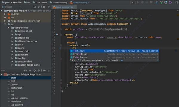 webstormæ°¸ä¹ç ´è§£ç