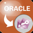 OracleToAccess 中文版下载