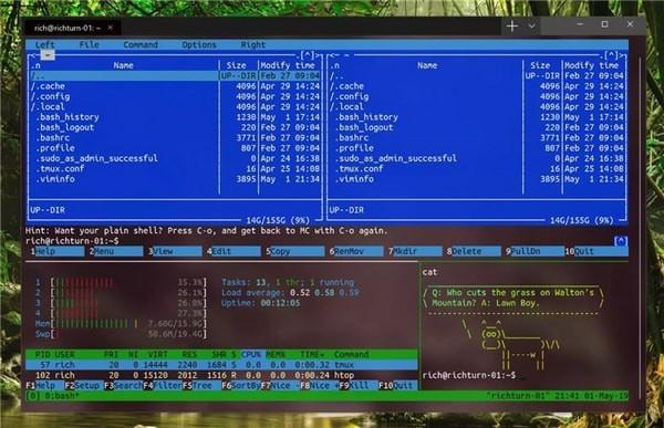 Windows Terminal(命令行终端工具)