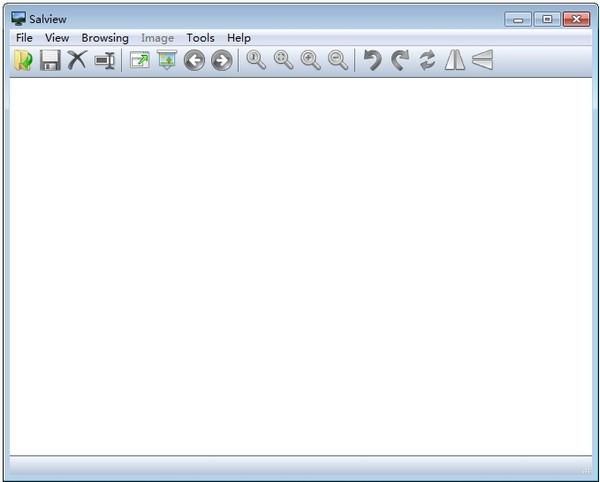 Salview免费版下载