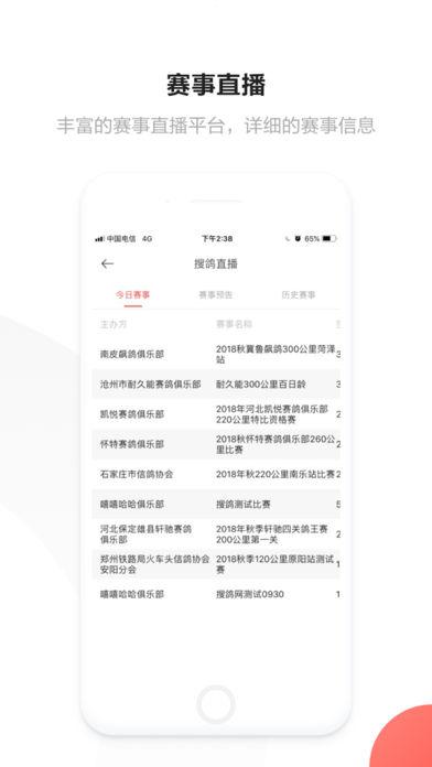 信鸽app