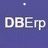 DBErp进销存系统下载 v1.0绿色免费版