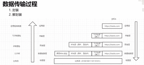 OSI七层模型