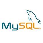 MySQL v8.0.19