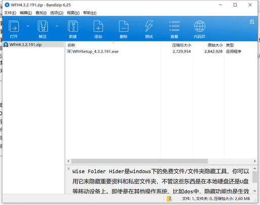 Wise Folder Hider文件夹加密软件下载 v4.3.2.191中文免费版