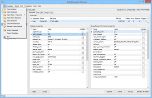 SQLite Expert Professional中文版下载