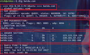 dig/trace 命令查询DNS解析