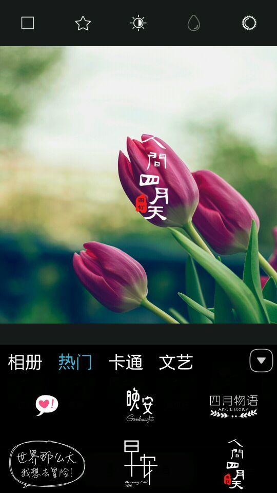 图钉 APP v8.3.0 APP   最新版