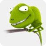 Chameleon Install免费版下载v2.2