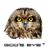 Gods APP Eye APP + APP v2.3.74 最新版