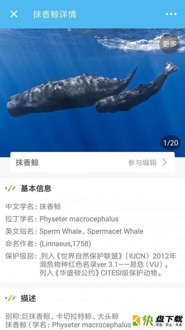 海洋奇迹app