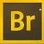 Adobe Bridge CC2021 破解版(暂未上线)