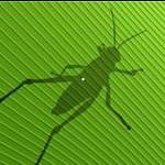 grasshopper中文版下载 v0.96