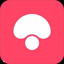 蘑菇街app