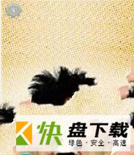 加胡子相机app下载