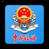 大连税务app