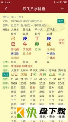 双飞八字排盘app