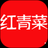 红青菜购物商城安卓版下载 v4.0中文版