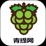 青提网APP