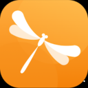 蜻蜓单词app