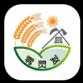 零灵发手机APP下载 v1.1.15