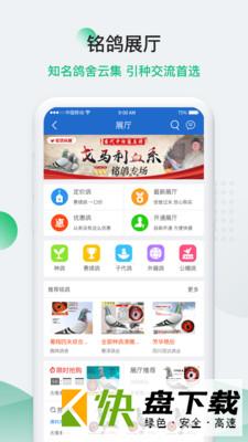 中国信鸽信息网app