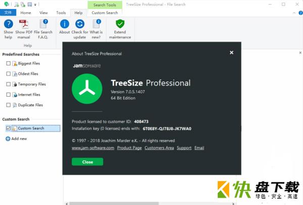 TreeSize Pro下载