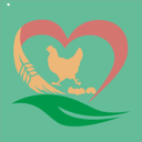 港农汇app