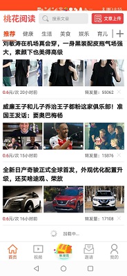 桃花阅读app