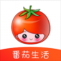 番茄生活手机APP下载 v1.3.8