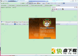 RegexBuddy破解版