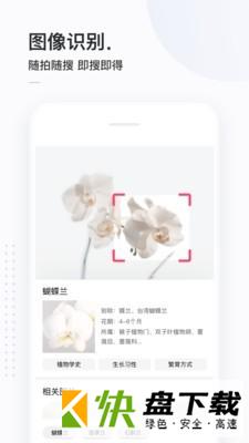 简单搜索冲顶神器