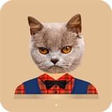 猫头贴纸安卓版 v1.0 最新版