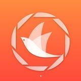 飞鸟浏览器app下载