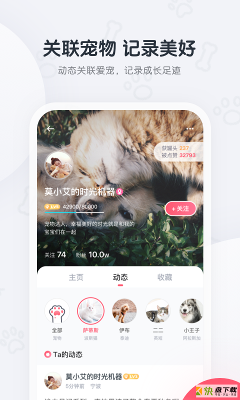 粉爪