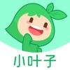 小叶子智能陪练app下载