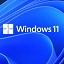 Windows 11支持运行安卓APP 中国区安装教程