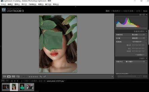 Adobe Photoshop Lightroom如何设置照片的旗标-设置照片旗标的方法