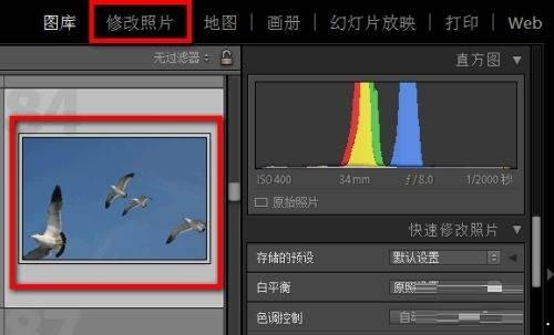 Adobe Photoshop Lightroom污点去除怎么用-污点去除使用方法