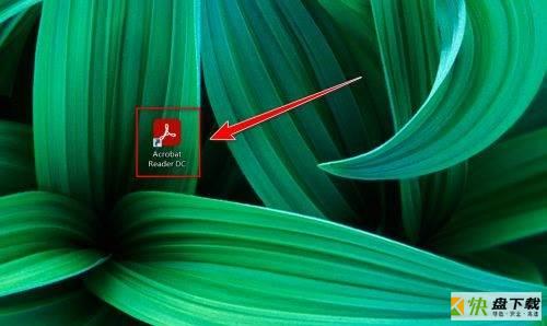 Adobe Acrobat Reader DC如何放大文档内容-放大文档内容的方法