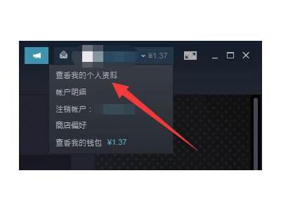 steam交易链接在哪查看-steam交易链接查看教程