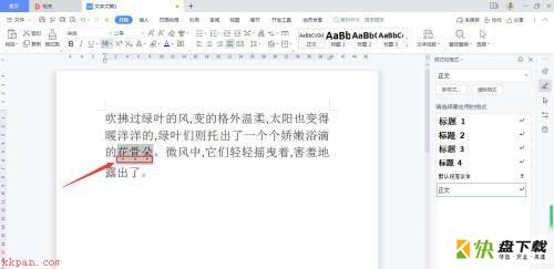 WPS Office