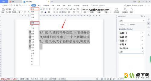 WPS Office