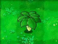 植物大战僵尸叶子保护伞有什么用-叶子保护伞作用介绍